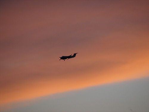 Flying in the golden cloud